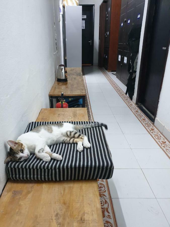 Starfish Alley Hostel Дананг Экстерьер фото